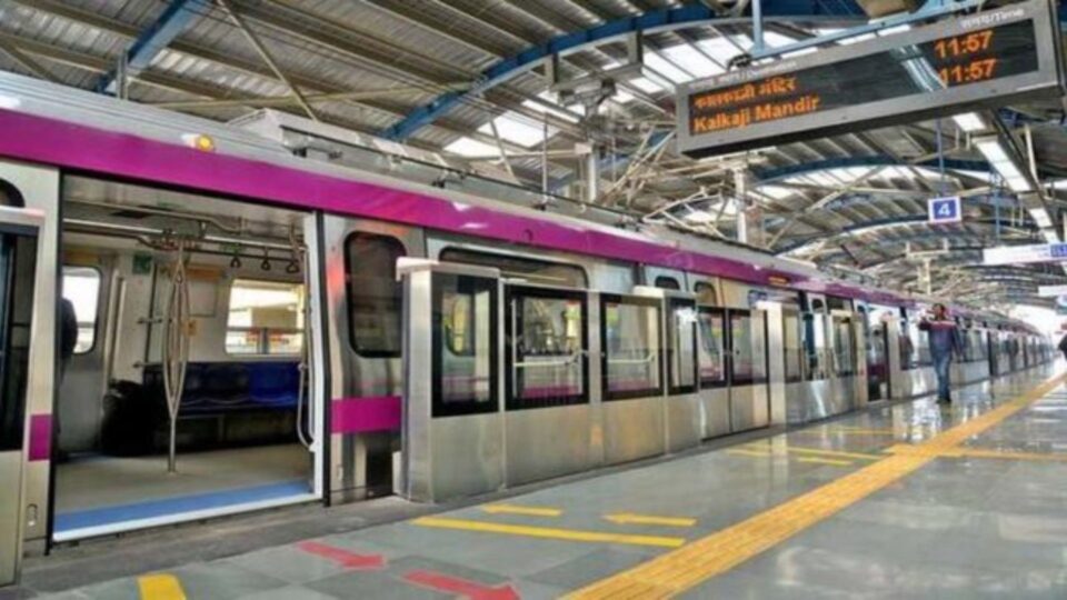 magenta line