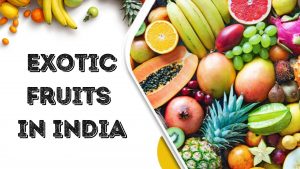 List Of Exotic Fruits In India That Have Amazing Health Benefits