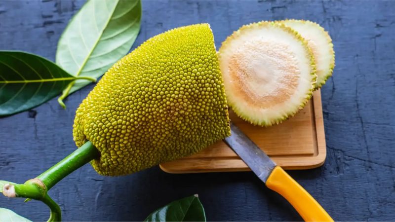 Jackfruit