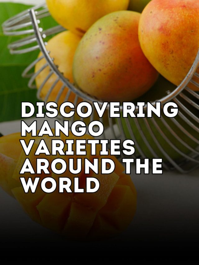 Discovering Mango Varieties Around the World